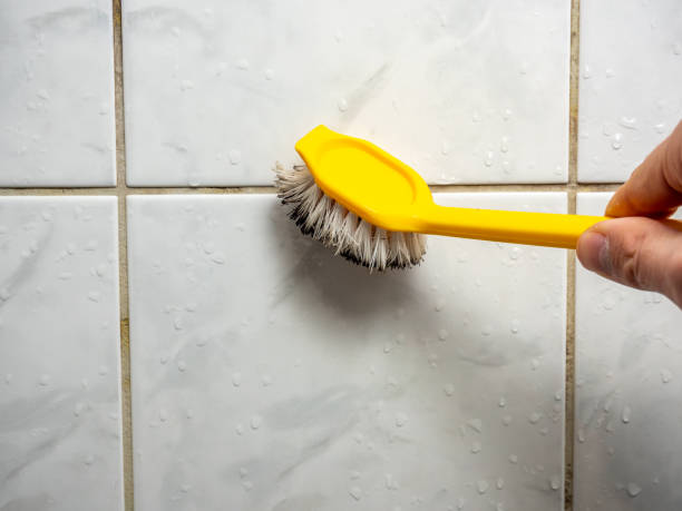 Best Emergency Mold Remediation in East Rancho Dominguez, CA