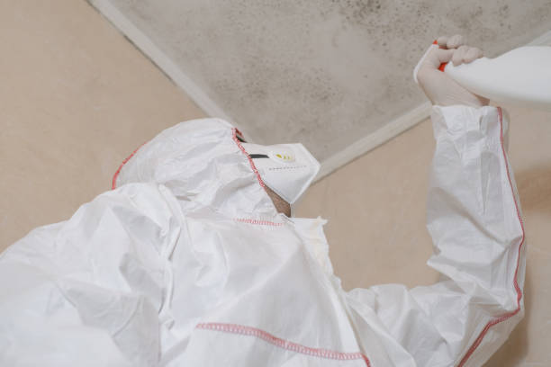 Best Crawl Space Mold Remediation in East Rancho Dominguez, CA