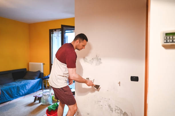 Best DIY Mold Remediation Support Services in East Rancho Dominguez, CA