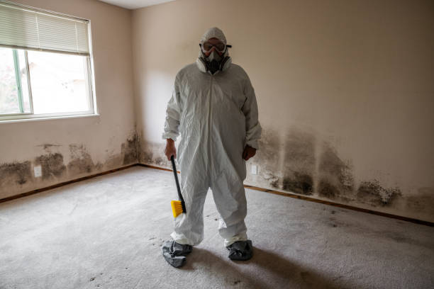 Best Commercial Mold Remediation in East Rancho Dominguez, CA